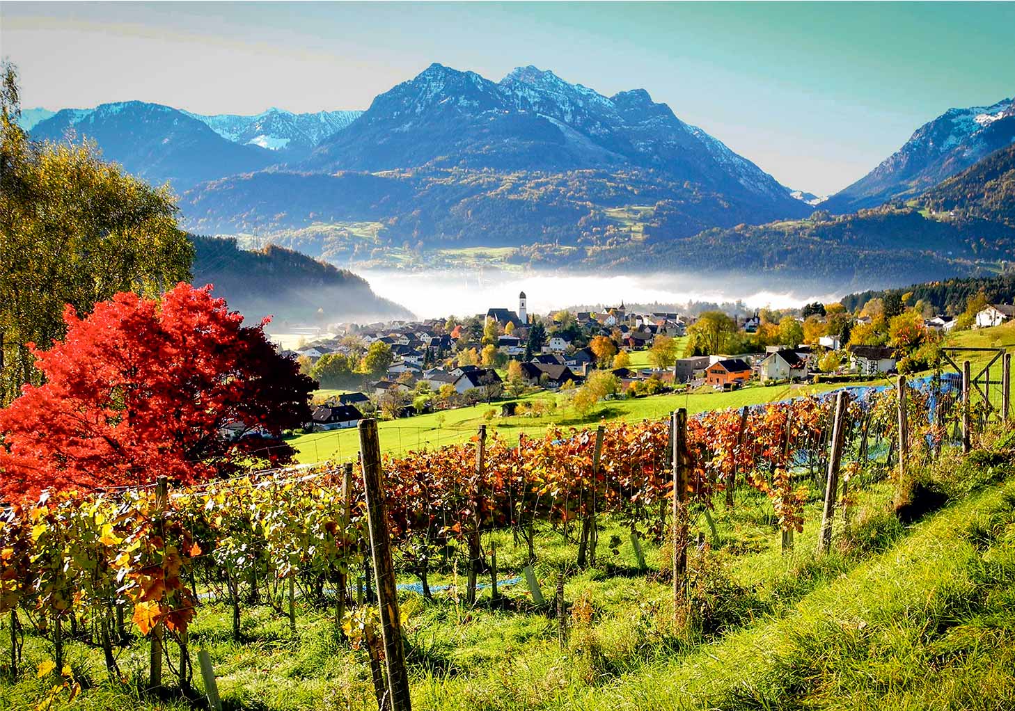 Weinberg Lage Breiten &uuml;ber G&ouml;fis im Herbst, Blick in den Walgau